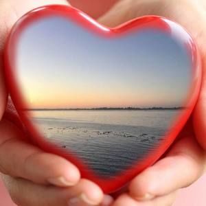 Meet your Posher, Shelly